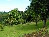 cliquez ici pour voir l'image (pict0220.jpg)