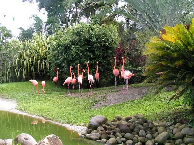 pict0223