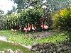 cliquez ici pour voir l'image (pict0223.jpg)