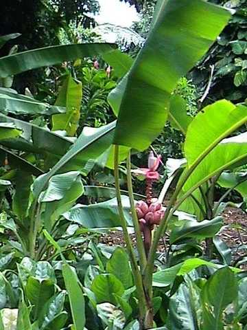 pict0228