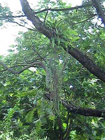 pict0229