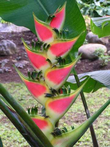 pict0230
