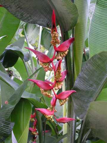 pict0231