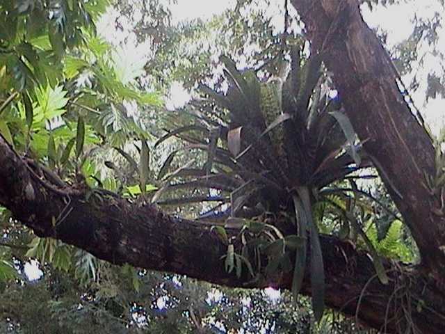 pict0232