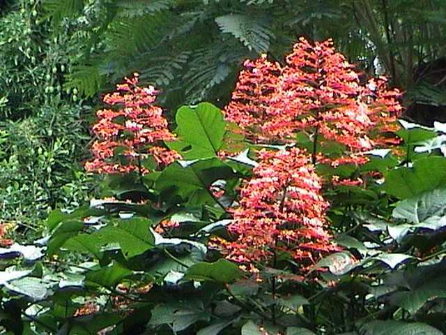 pict0233