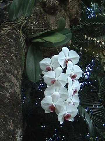 pict0235