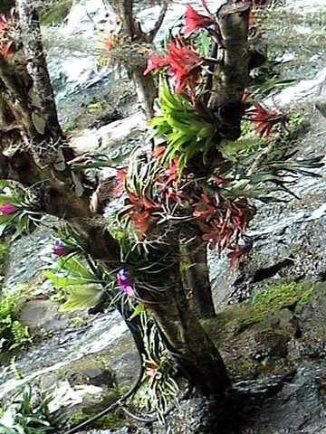 pict0236
