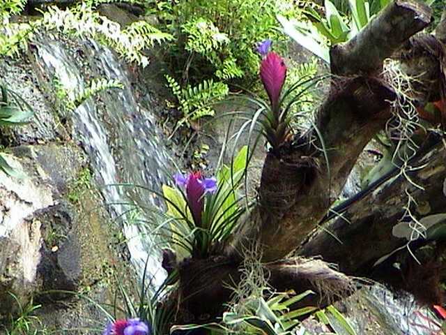 pict0237