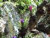 cliquez ici pour voir l'image (pict0237.jpg)