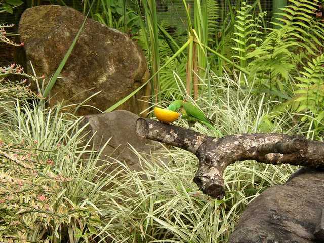 pict0239