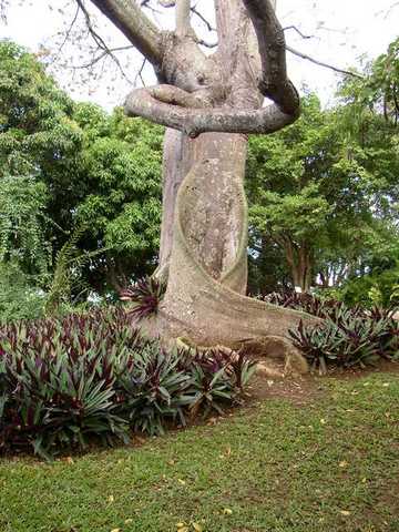 pict0241