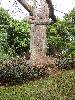 cliquez ici pour voir l'image (pict0241.jpg)