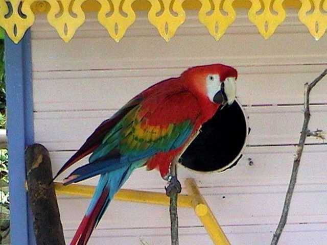 pict0243