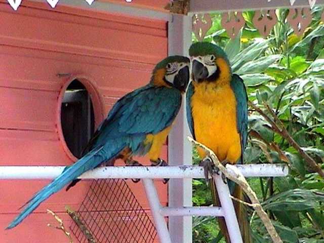 pict0244