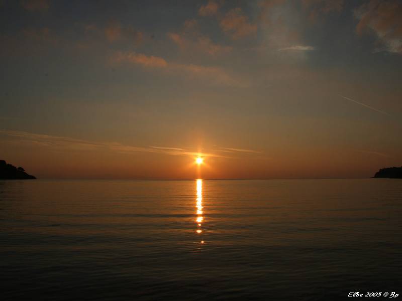 08_photo
