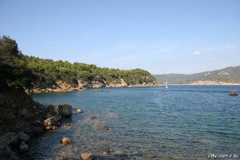 11_photo