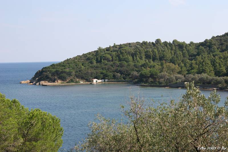 12_photo