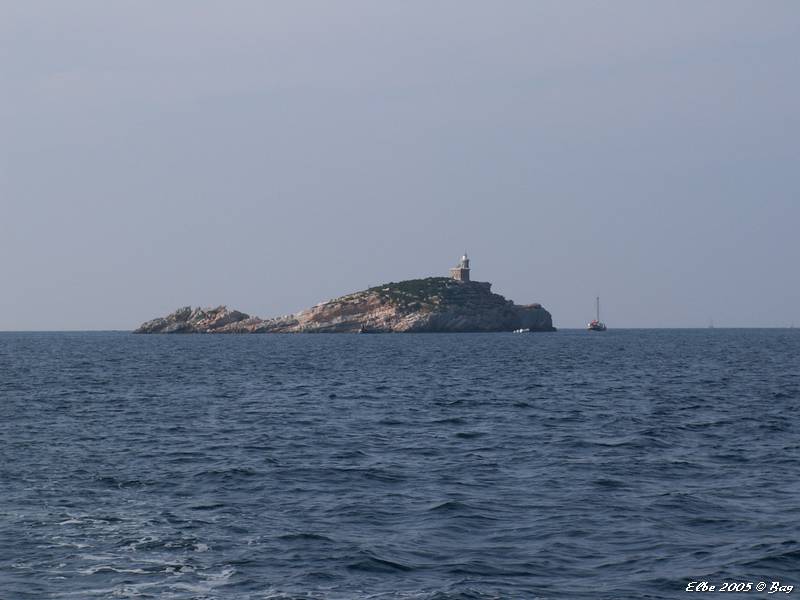 29_photo