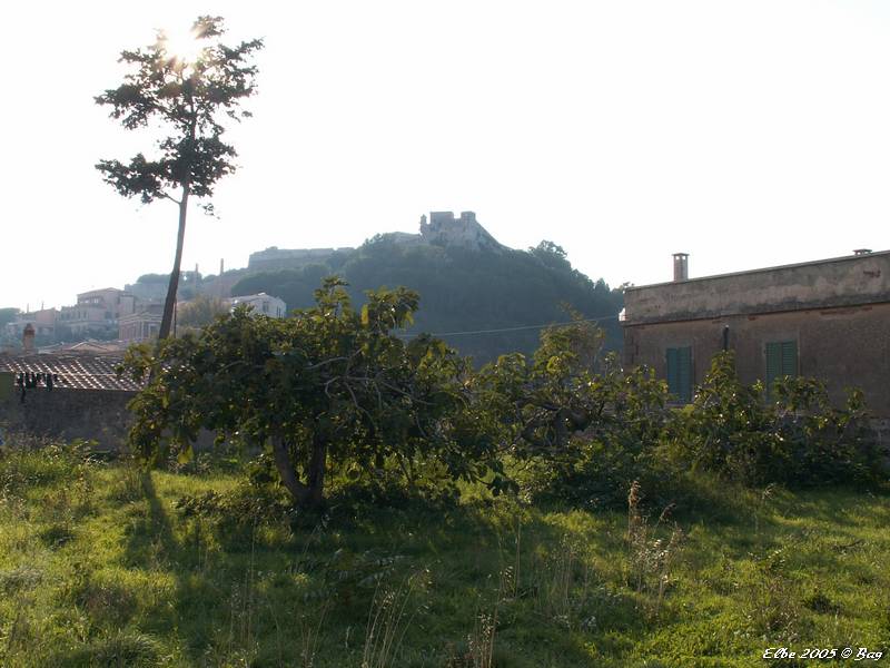 42_photo