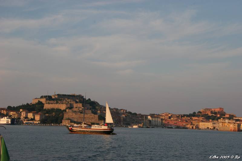 50_photo