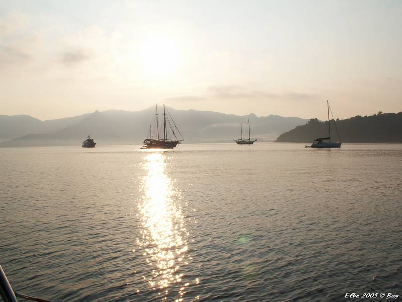 53_photo