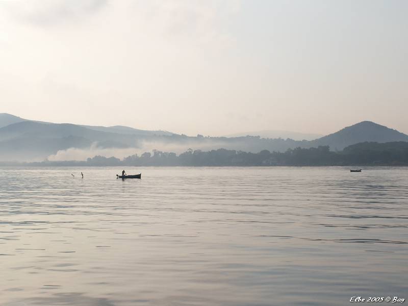 55_photo