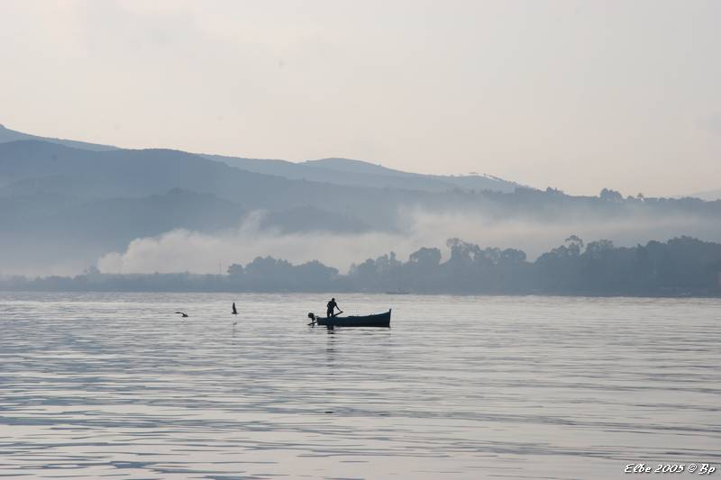 56_photo