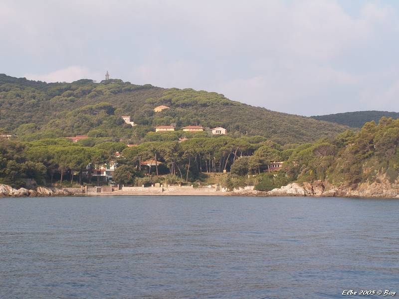 61_photo