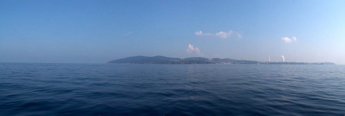 Pionpino