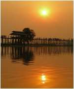 Myanmar buissonnier