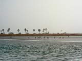 [Click to enlarge]