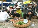 cliquez ici pour voir l'image (55.jpg)