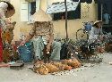 cliquez ici pour voir l'image (12.jpg)