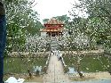 cliquez ici pour voir l'image (45.jpg)