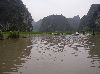 cliquez ici pour voir l'image (5HalongTerre.JPG)
