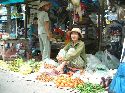 cliquez ici pour voir l'image (14.jpg)