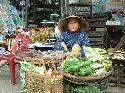cliquez ici pour voir l'image (18.jpg)